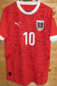 trikot-1569-oesterreich-grillitsch-fB1BAC671-259C-F4E9-8FC9-F43B2AFD7685.jpg